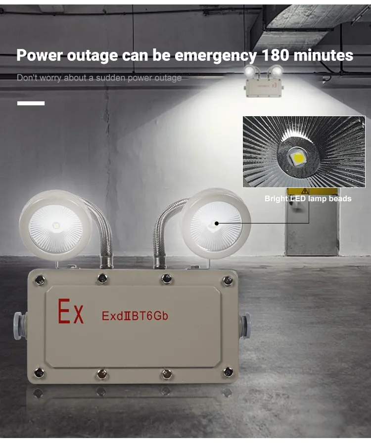 Factory Price 2*5W Emergency Exit Light Explosion Proof Emergency Light for Industrial Zones Mining Areas Chemical Plants Oil and Gas Facilities Hospital