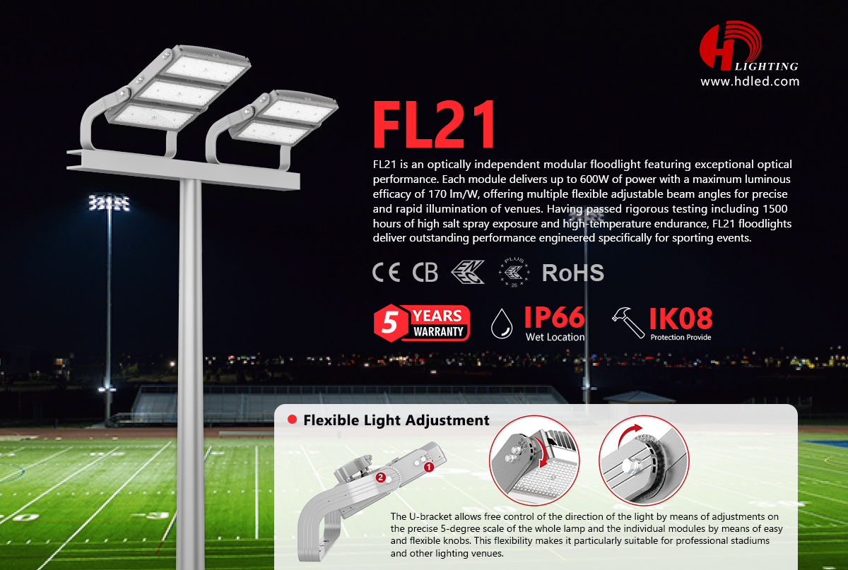 LED Flood Light