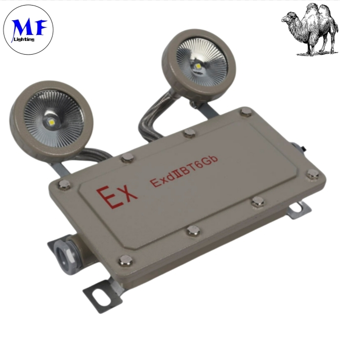 Factory Price 2*5W Emergency Exit Light Explosion Proof Emergency Light for Industrial Zones Mining Areas Chemical Plants Oil and Gas Facilities Hospital