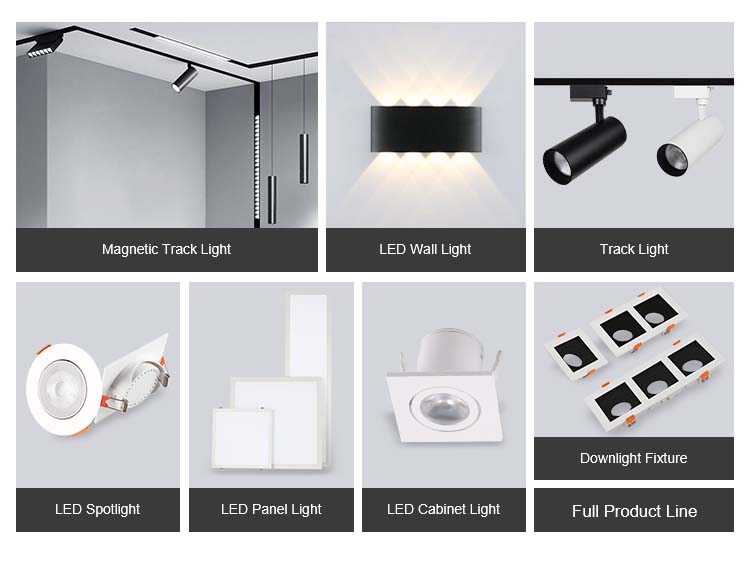 Track Light Varieties