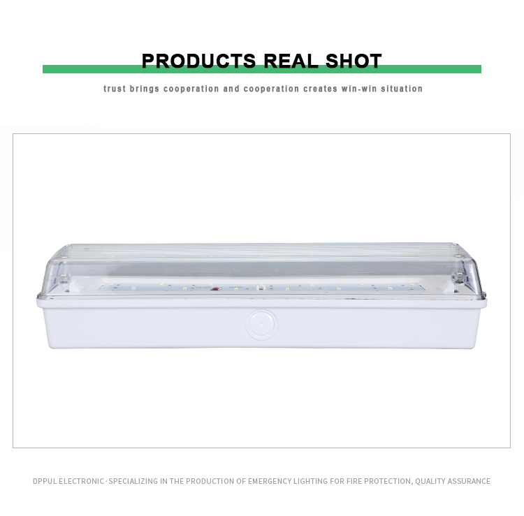 High Quality Emergency Light Professional Class 1 Protection Emergency Bulkhead Led Emergency Exit Light