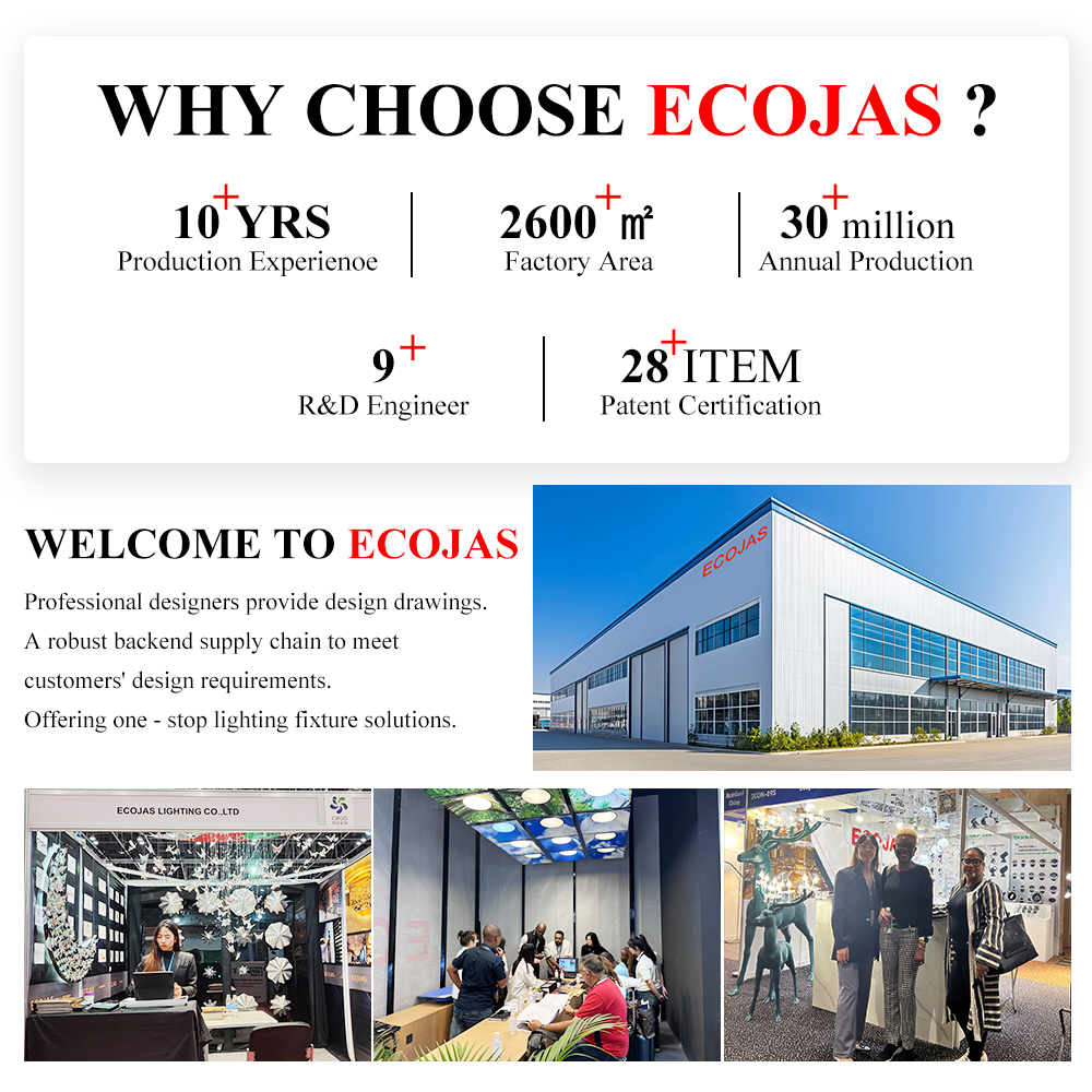 Why Choose Us