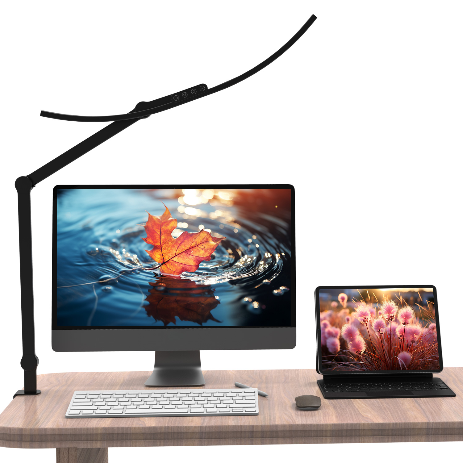 Desk Lamp