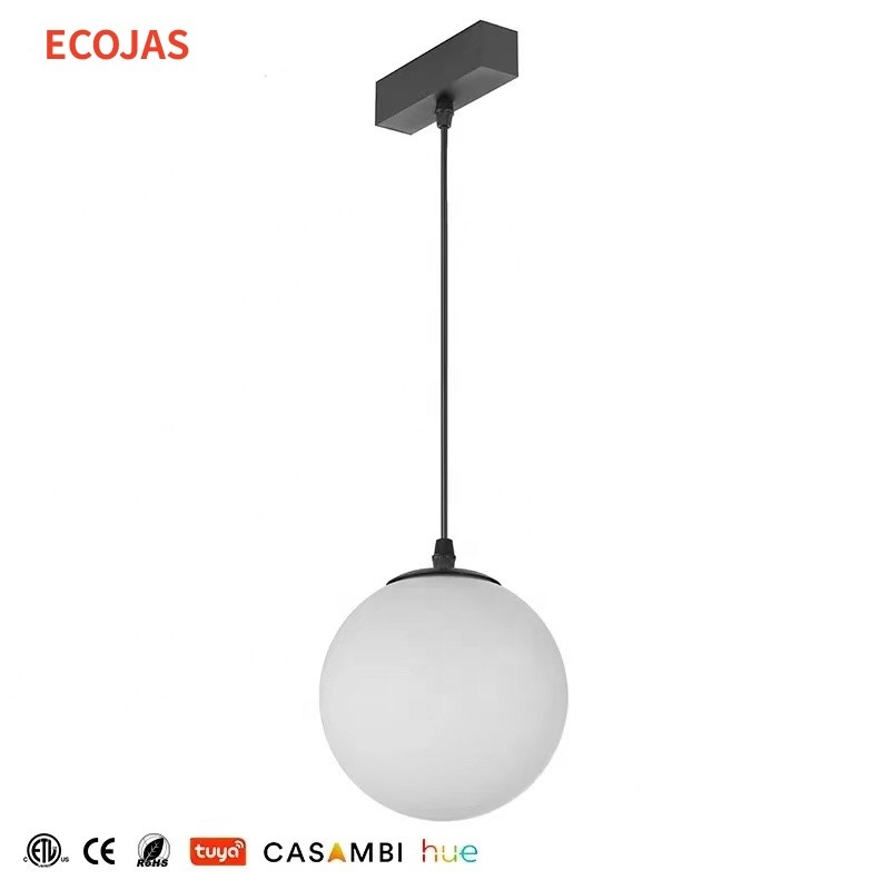 ECOJAS New Listing 2700k/3000k/4000k Retail Illumination Magneto Led Magnetic Track Light System