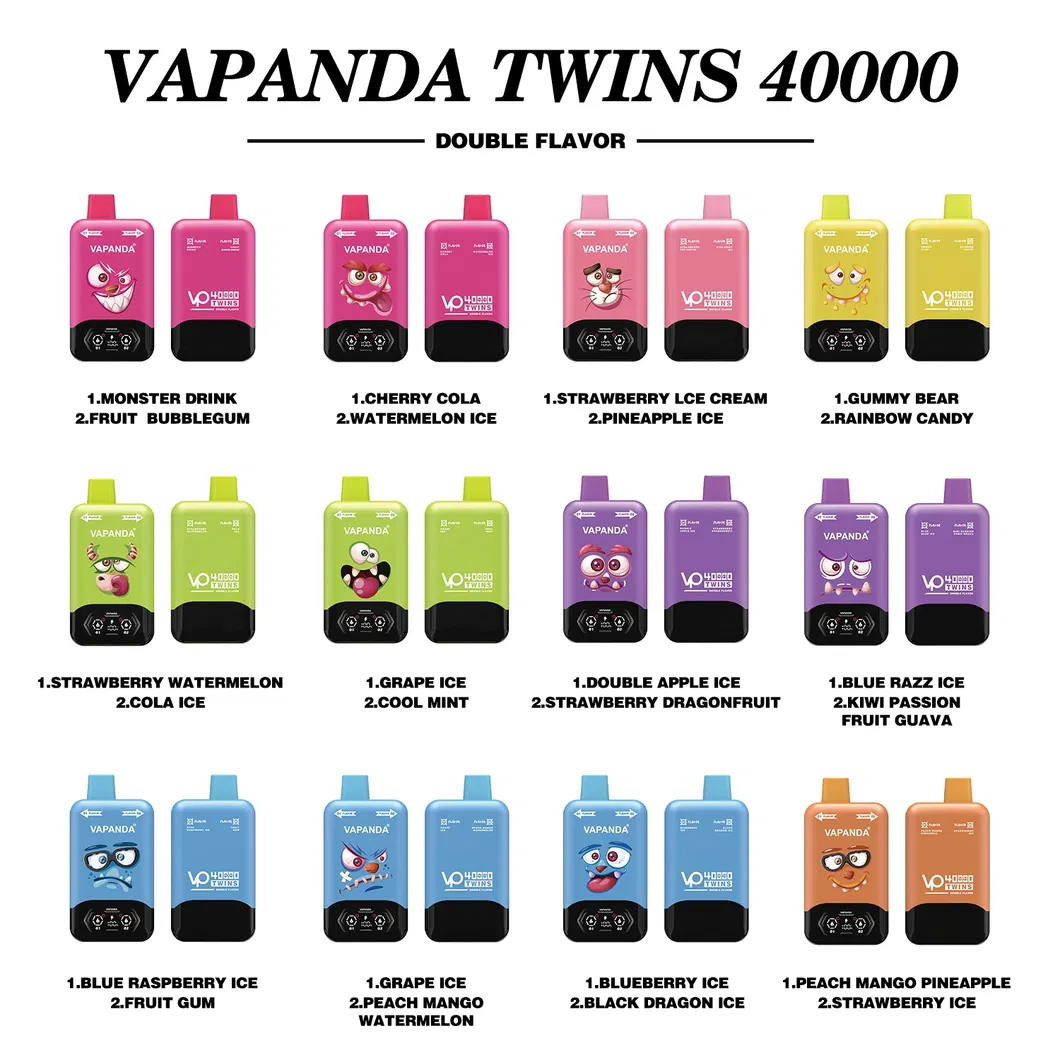 Double Twins Flavors 40000 Puffs Electronic Disposable Vape Detail