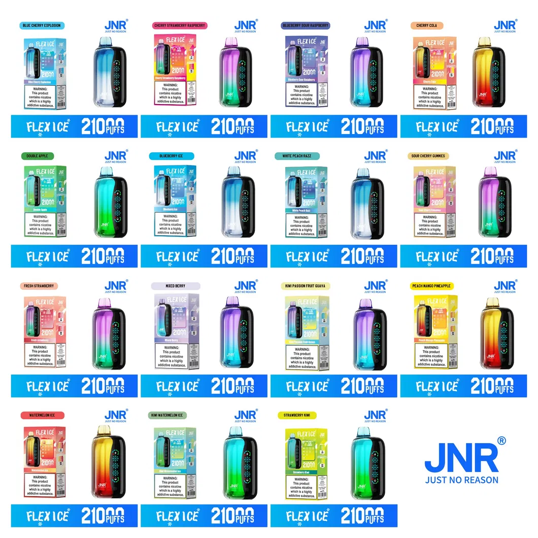 New Jnr Flex Ice 21000puff 15 Flavors Touch Screen Ice Adjustment Double Mesh Coil 1000 mAh Battery Capacity Disposable Electronic Cigarette Vape