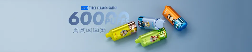 60000 Puffs 3 Flavors in 1 Disposable Vape Pen Banner View