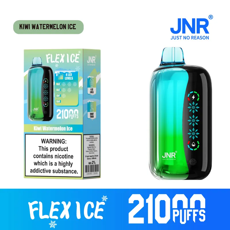 New Jnr Flex Ice 21000puff 15 Flavors Touch Screen Ice Adjustment Double Mesh Coil 1000 mAh Battery Capacity Disposable Electronic Cigarette Vape