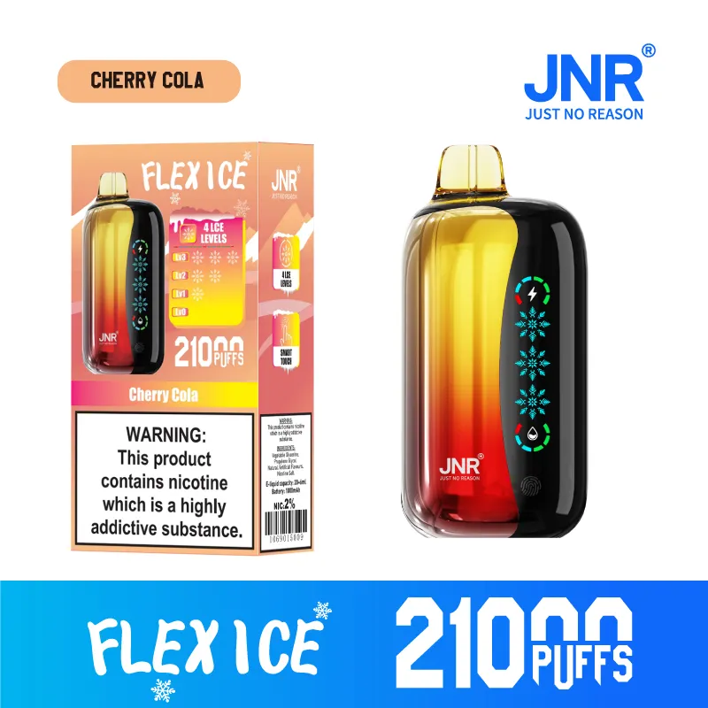 New Jnr Flex Ice 21000puff 15 Flavors Touch Screen Ice Adjustment Double Mesh Coil 1000 mAh Battery Capacity Disposable Electronic Cigarette Vape