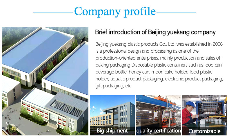PP Disposable Plastic Food Packaging Quick Frozen Dumpling Box Freezing Cold Resistance