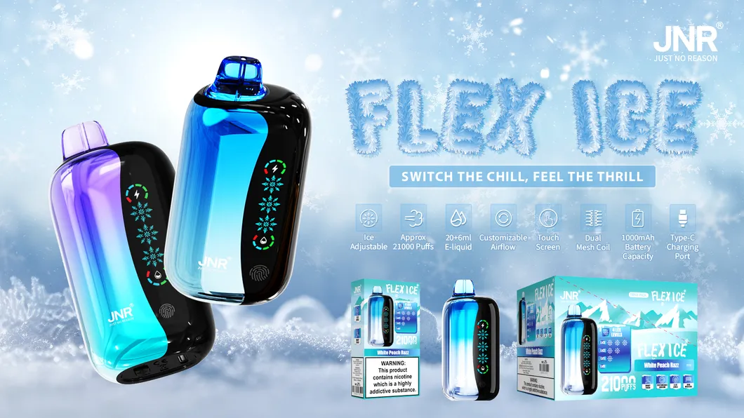 New Jnr Flex Ice 21000puff 15 Flavors Touch Screen Ice Adjustment Double Mesh Coil 1000 mAh Battery Capacity Disposable Electronic Cigarette Vape