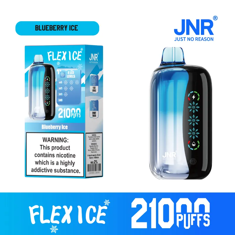 New Jnr Flex Ice 21000puff 15 Flavors Touch Screen Ice Adjustment Double Mesh Coil 1000 mAh Battery Capacity Disposable Electronic Cigarette Vape
