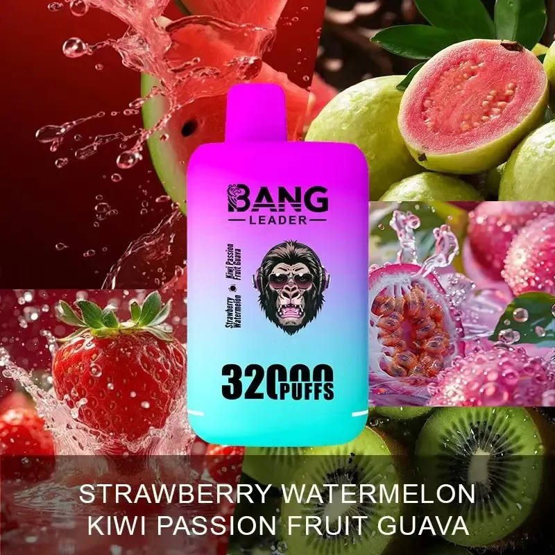 Wholesale Cheap Vape Dual Flavors Bang Leader 32000 Puffs 32K Dual Mesh Coil Pod 28+28ml Disposable E-Cigarettes 650mAh Battery Wape