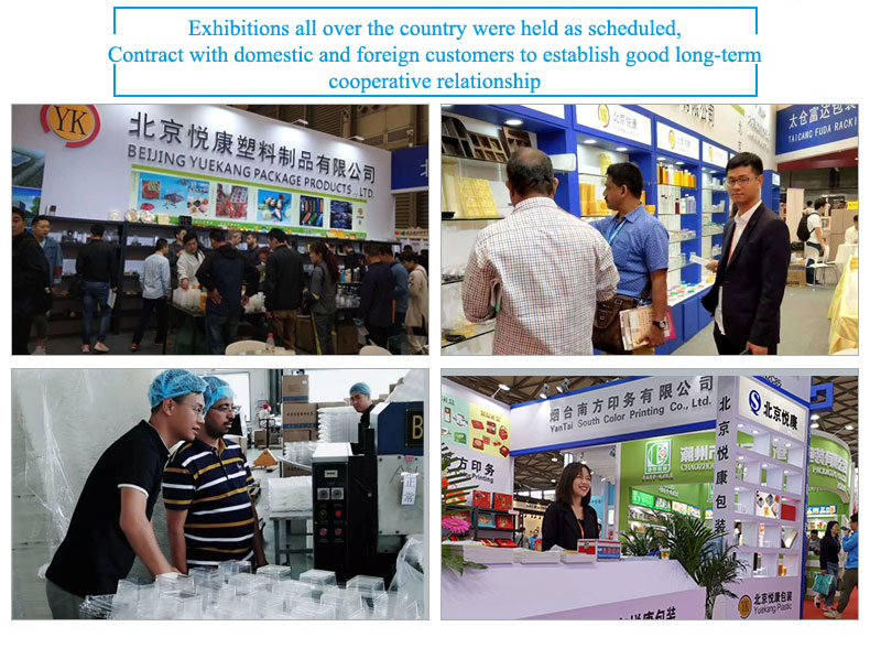 PP Disposable Plastic Food Packaging Quick Frozen Dumpling Box Freezing Cold Resistance