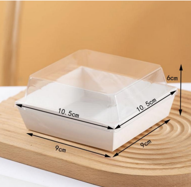 Square Plastic Sandwich Box for Cake Roll, Puff, Meat Floss, Dessert & Mooncake