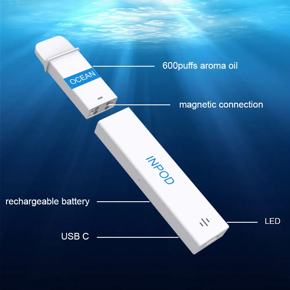 Canada UK High Quality Prefilled 2ml 600puff Air Smokeless Nicotine Free Disposable Vape Pod Kit