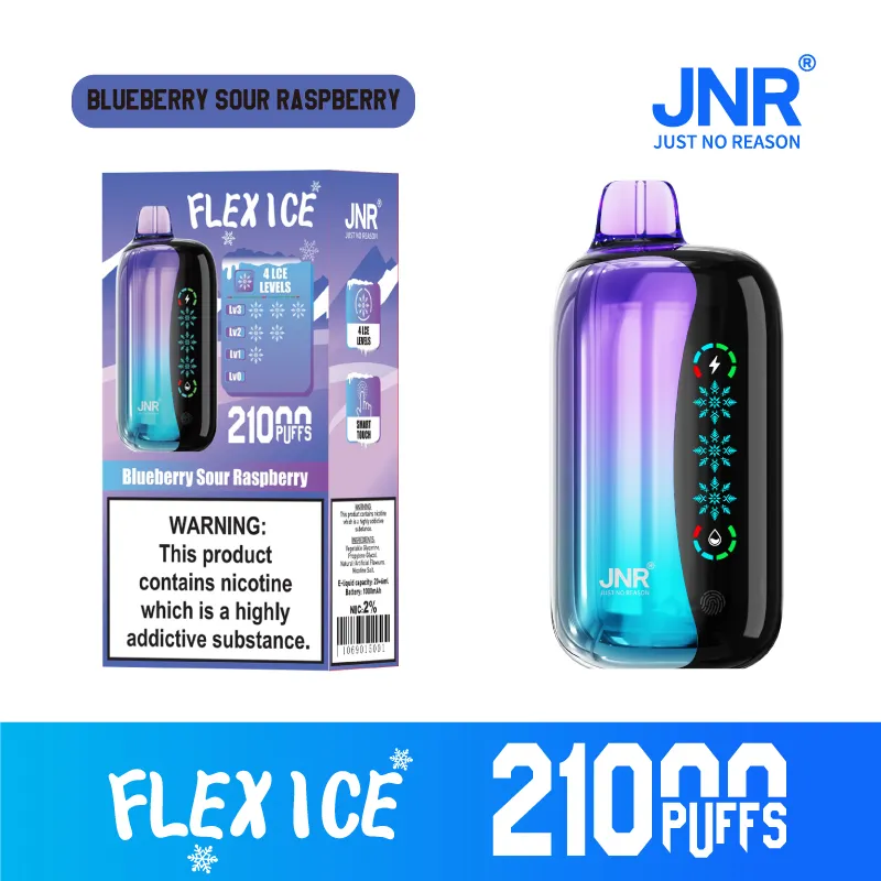New Jnr Flex Ice 21000puff 15 Flavors Touch Screen Ice Adjustment Double Mesh Coil 1000 mAh Battery Capacity Disposable Electronic Cigarette Vape