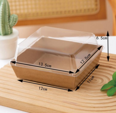 Square Plastic Sandwich Box for Cake Roll, Puff, Meat Floss, Dessert & Mooncake