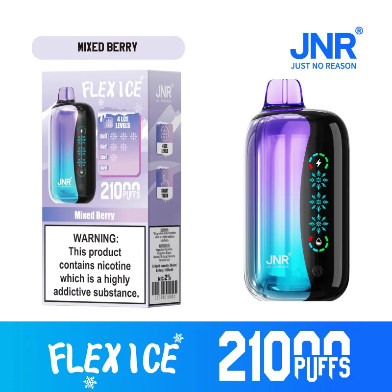 New Jnr Flex Ice 21000puff 15 Flavors Touch Screen Ice Adjustment Double Mesh Coil 1000 mAh Battery Capacity Disposable Electronic Cigarette Vape