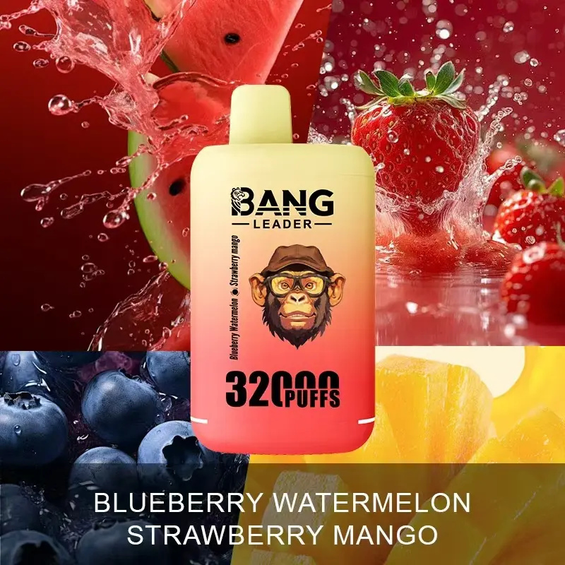 Wholesale Cheap Vape Dual Flavors Bang Leader 32000 Puffs 32K Dual Mesh Coil Pod 28+28ml Disposable E-Cigarettes 650mAh Battery Wape