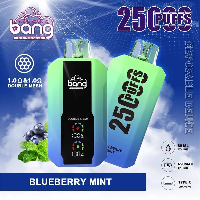 Wholesale Bang 25000 Puffs Disposable Vape Pen Dual Tank &amp; Dual Mesh Coil 25ml 650mAh Type-C 0/2/3/5% Free Nicotine Nicopuff Nikpuff Japan Warehouse Free Ship