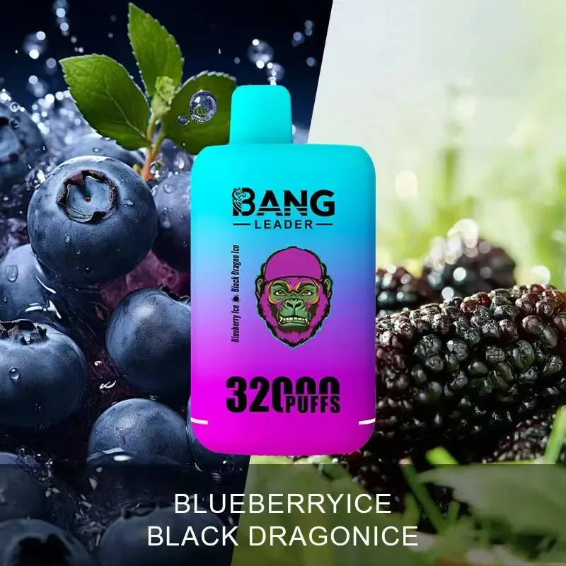 Wholesale Cheap Vape Dual Flavors Bang Leader 32000 Puffs 32K Dual Mesh Coil Pod 28+28ml Disposable E-Cigarettes 650mAh Battery Wape