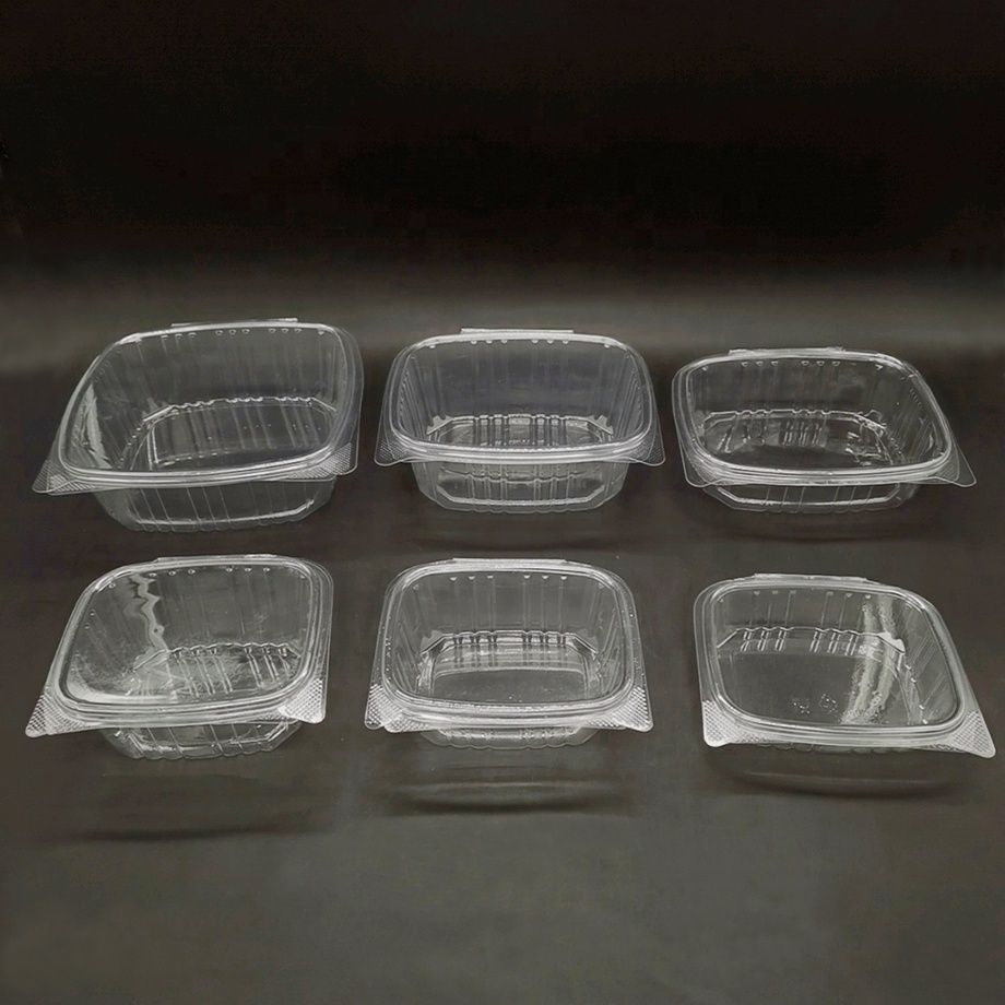 PET Salad Box