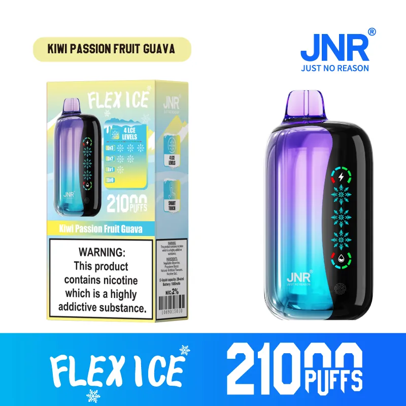 New Jnr Flex Ice 21000puff 15 Flavors Touch Screen Ice Adjustment Double Mesh Coil 1000 mAh Battery Capacity Disposable Electronic Cigarette Vape