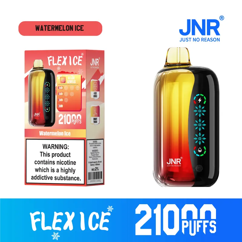 New Jnr Flex Ice 21000puff 15 Flavors Touch Screen Ice Adjustment Double Mesh Coil 1000 mAh Battery Capacity Disposable Electronic Cigarette Vape