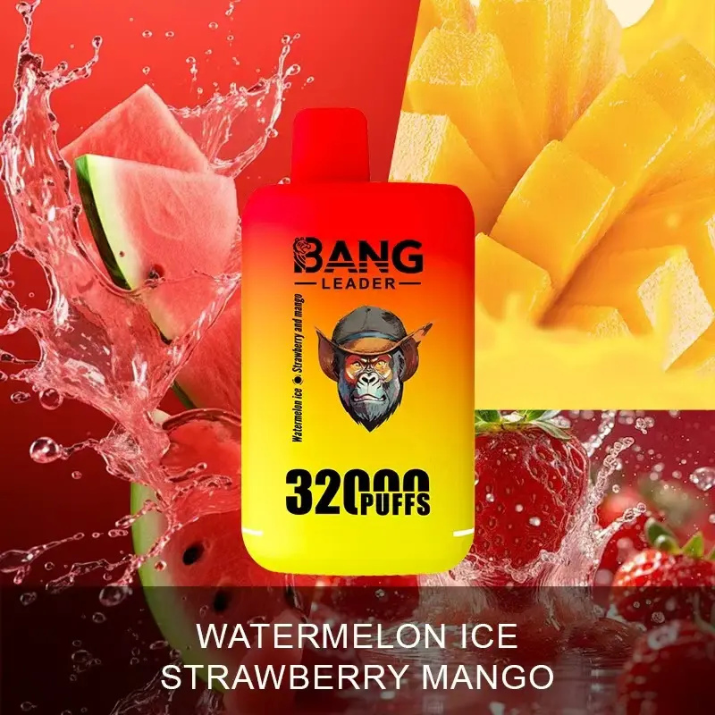 Wholesale Cheap Vape Dual Flavors Bang Leader 32000 Puffs 32K Dual Mesh Coil Pod 28+28ml Disposable E-Cigarettes 650mAh Battery Wape