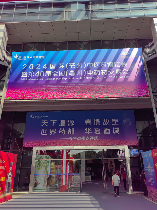 Processing Workshop 3