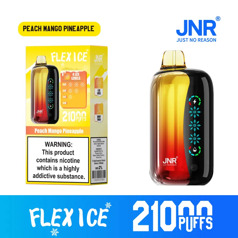 New Jnr Flex Ice 21000puff 15 Flavors Touch Screen Ice Adjustment Double Mesh Coil 1000 mAh Battery Capacity Disposable Electronic Cigarette Vape