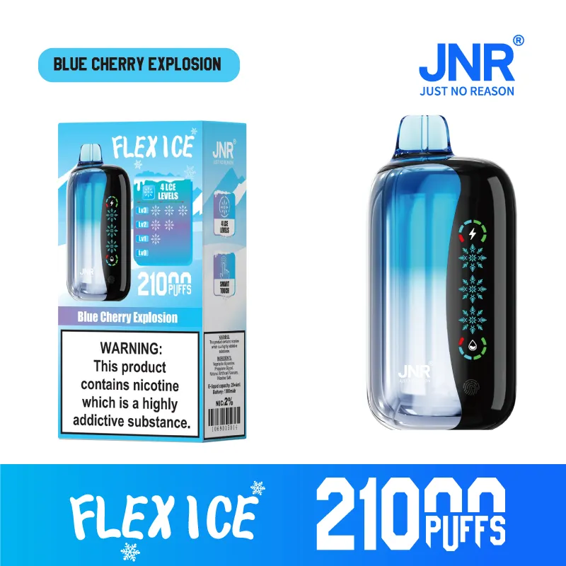 New Jnr Flex Ice 21000puff 15 Flavors Touch Screen Ice Adjustment Double Mesh Coil 1000 mAh Battery Capacity Disposable Electronic Cigarette Vape