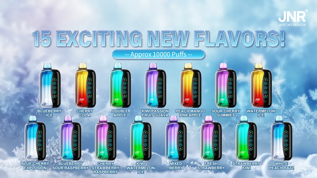 New Jnr Flex Ice 21000puff 15 Flavors Touch Screen Ice Adjustment Double Mesh Coil 1000 mAh Battery Capacity Disposable Electronic Cigarette Vape