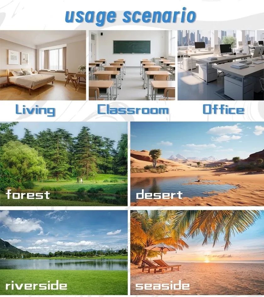 Layout 1