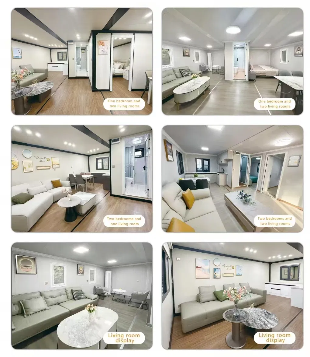 Layout 1