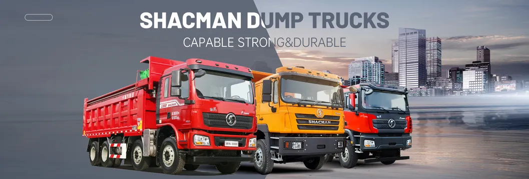 Shacman Dump Truck Header