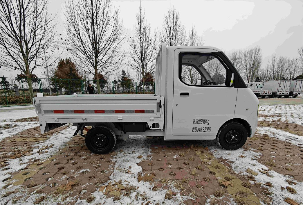 EEC Certification/Micro Electric Cargo Vehicle/Electric Vehicle/Electric Truck