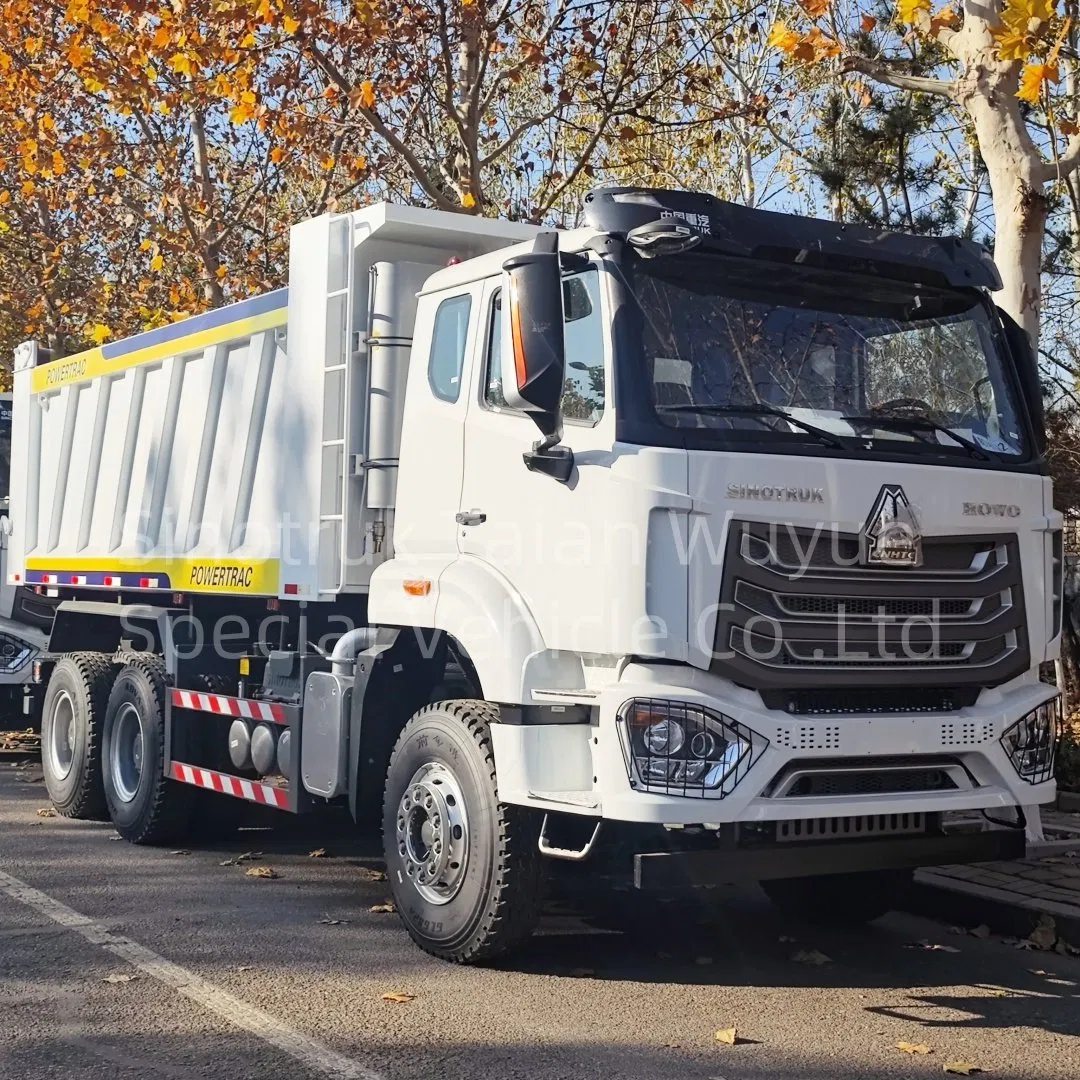 Heavy-Duty HOWO 6X4 Dump Truck for Reliable Construction Projects