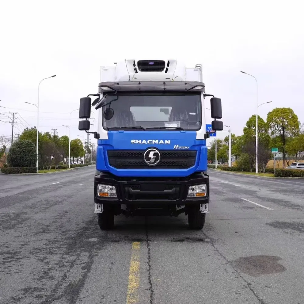 Shanqi H300 Weichai 380 HP Refrigeration System -15 Degrees