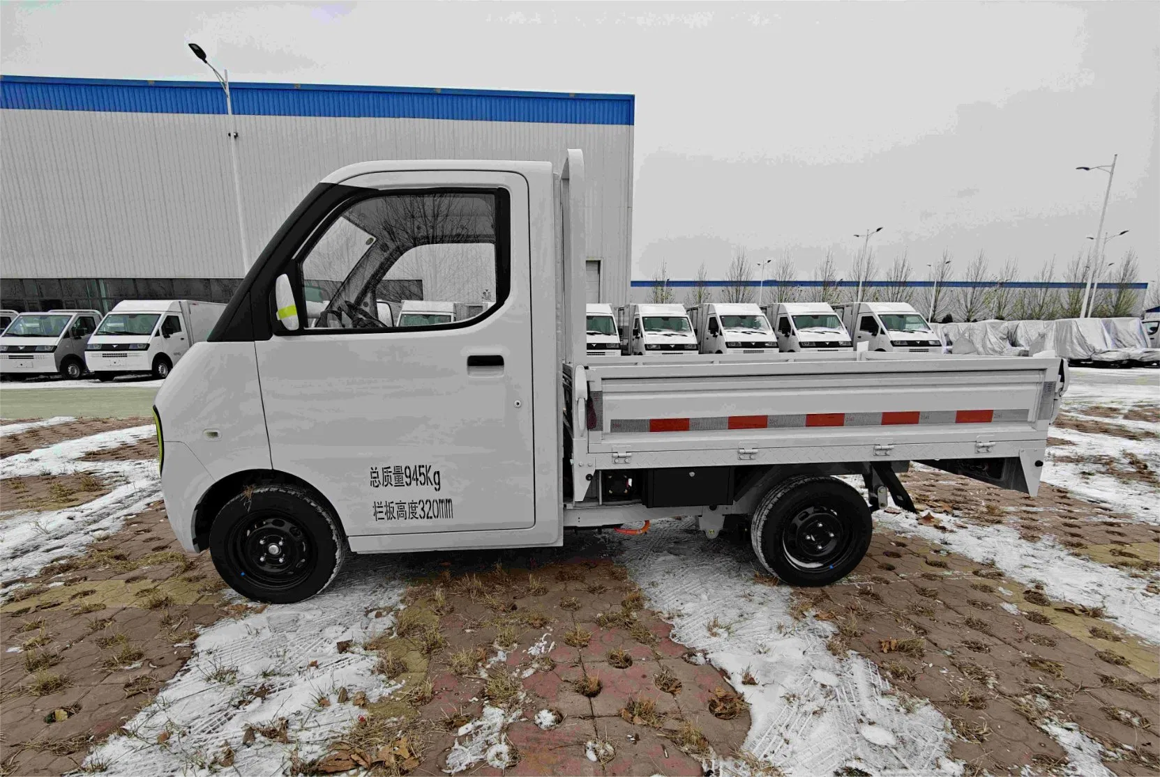 EEC Certification/Micro Electric Cargo Vehicle/Electric Vehicle/Electric Truck