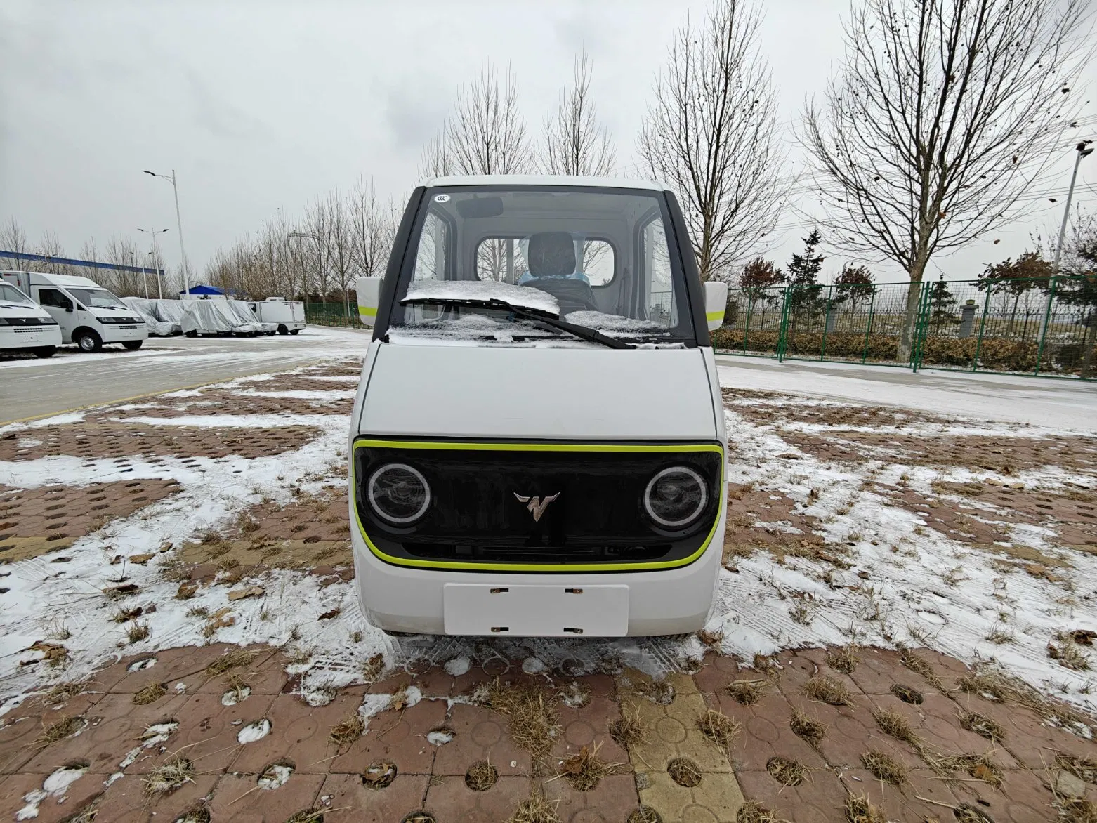 EEC Certification/Micro Electric Cargo Vehicle/Electric Vehicle/Electric Truck