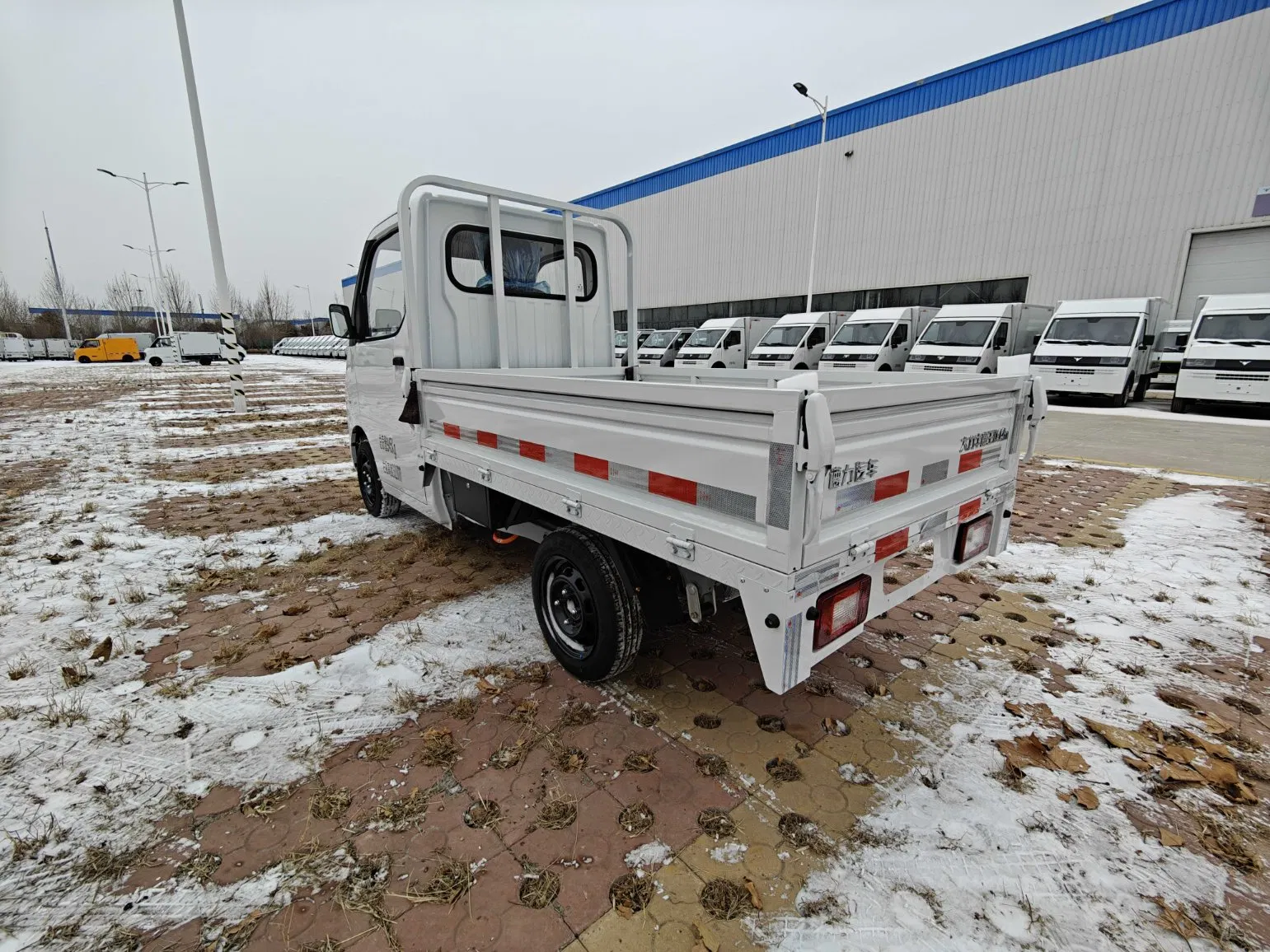 EEC Certification/Micro Electric Cargo Vehicle/Electric Vehicle/Electric Truck