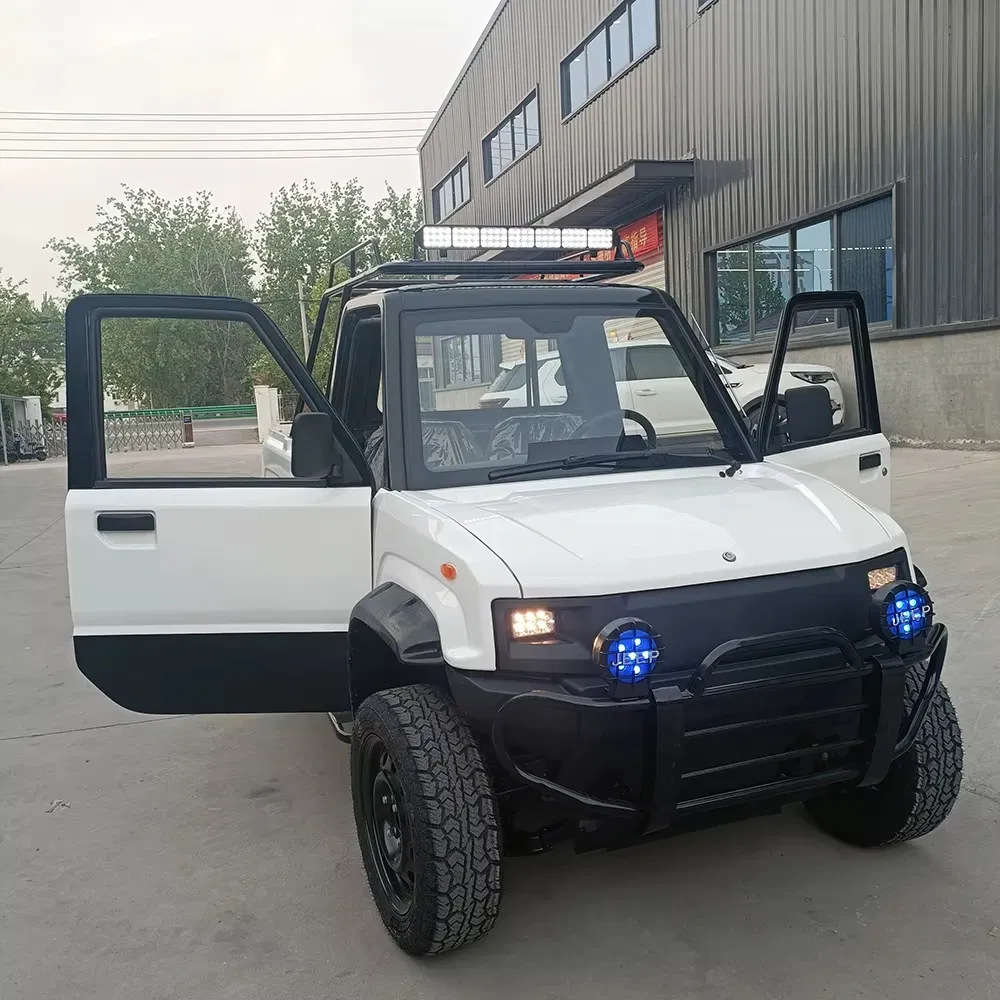 Electric Utility Cargo Truck