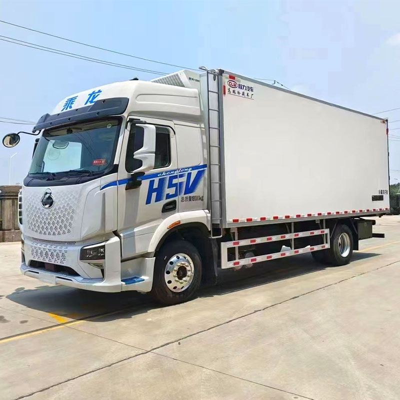 Dongfeng Liuqi Chenglong Refrigerated Truck Intercity Logistics Distribution Vehicle Frozen and Fresh Food Transport Vehicle with a Capacity of 10 Tons