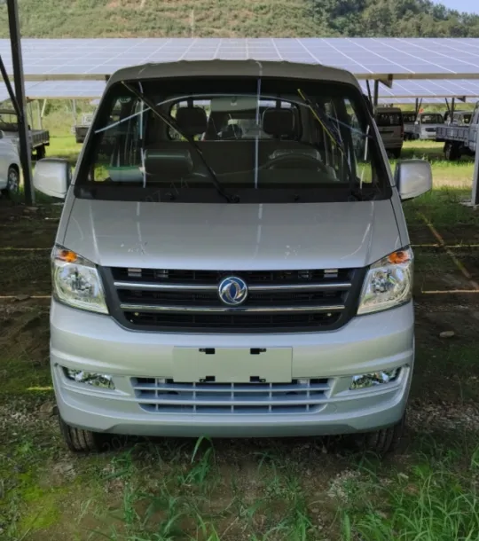 Mini Cargo Truck Detail