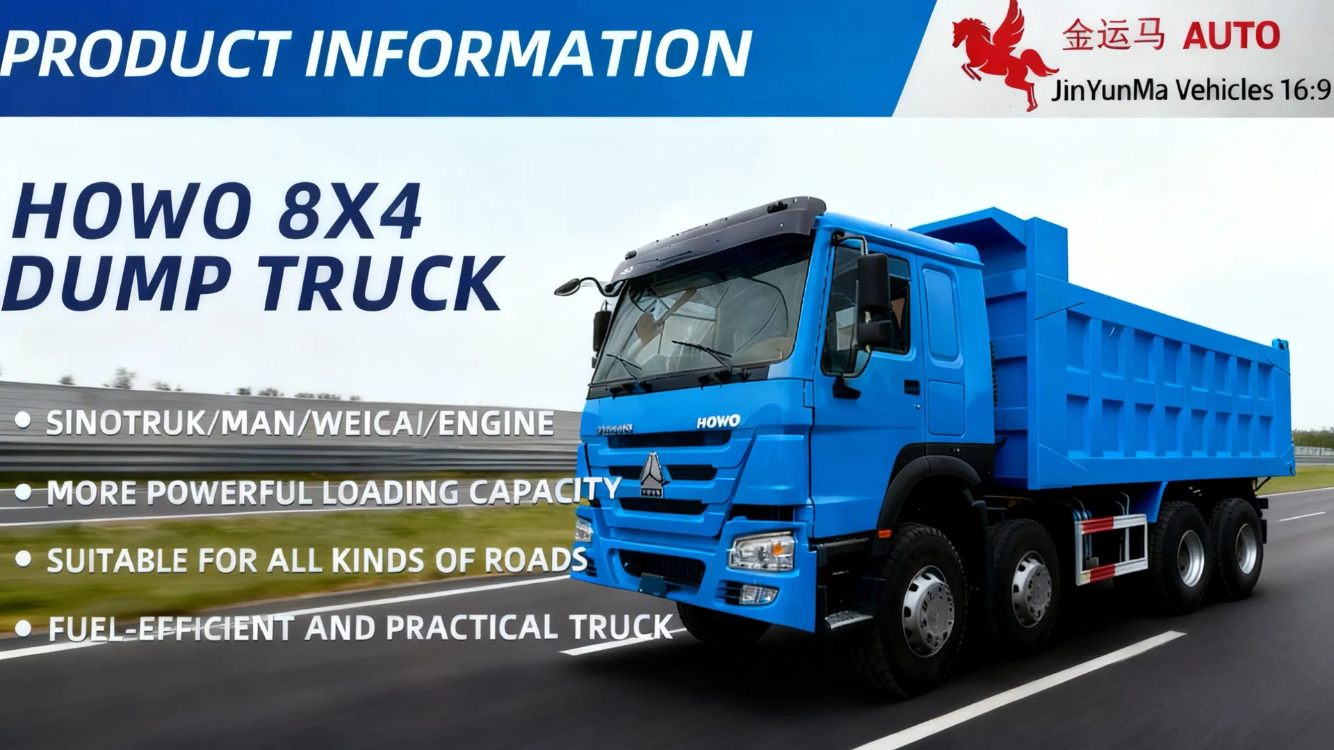 HOWO 8X4 Radial Tyre Dump Truck