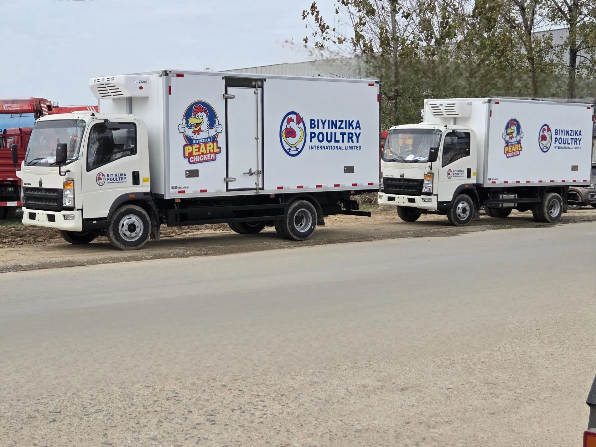 Hot Sale Small 4X2 HOWO Mini 5ton 6ton 8ton 10ton Freezer Van Cargo Refrigerated Van Truck for Meat Fish Seafood Transport in Africa