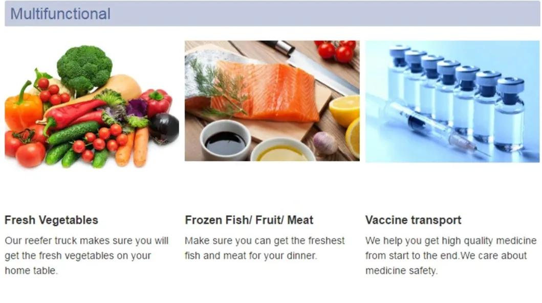 HOWO Freezer Truck 5