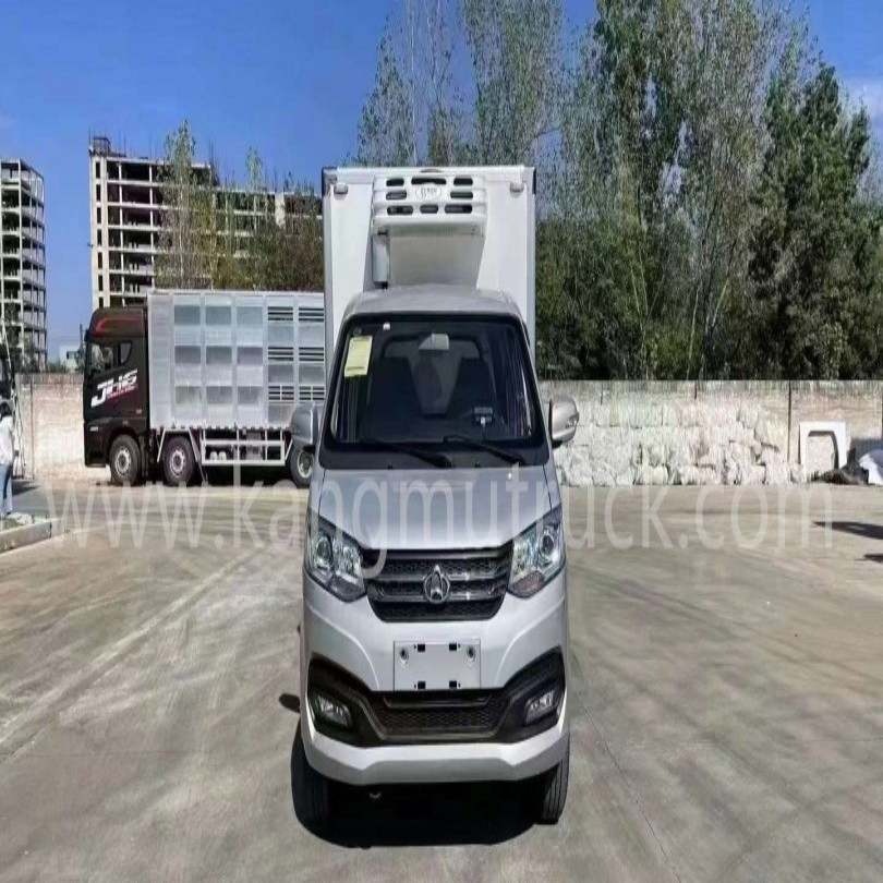 Changan X1 Small Size Refrigerated Truck for Urban Fresh Vegetable Short-Distance Delivery